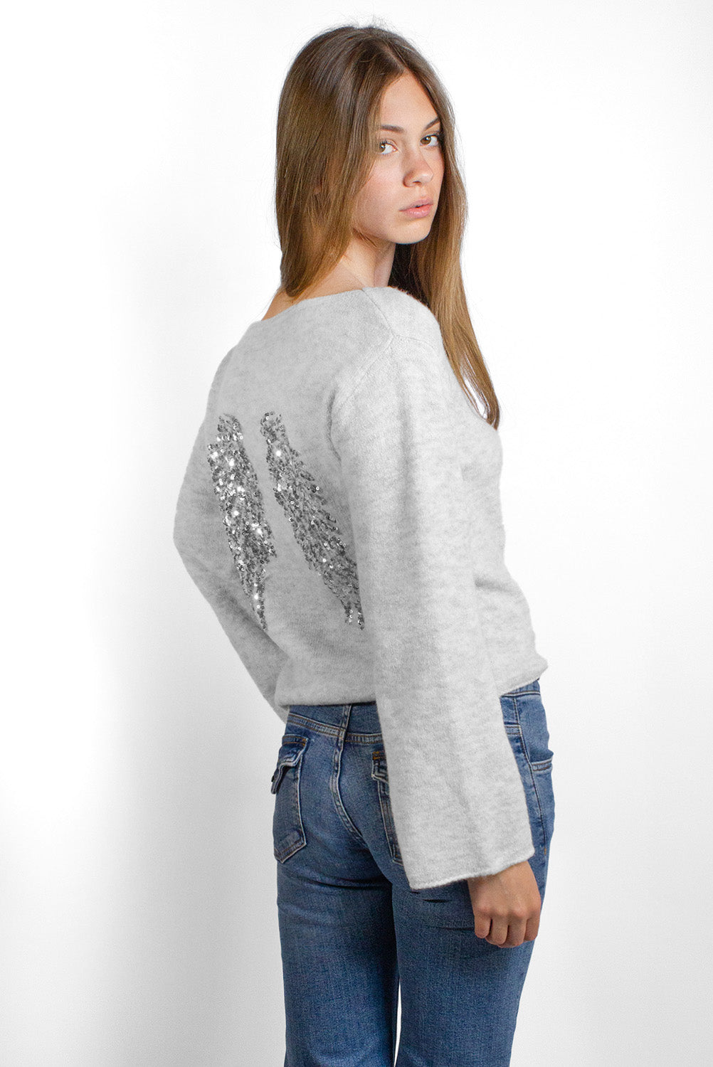 Wings sequin sweater | Subdued Smart Buy